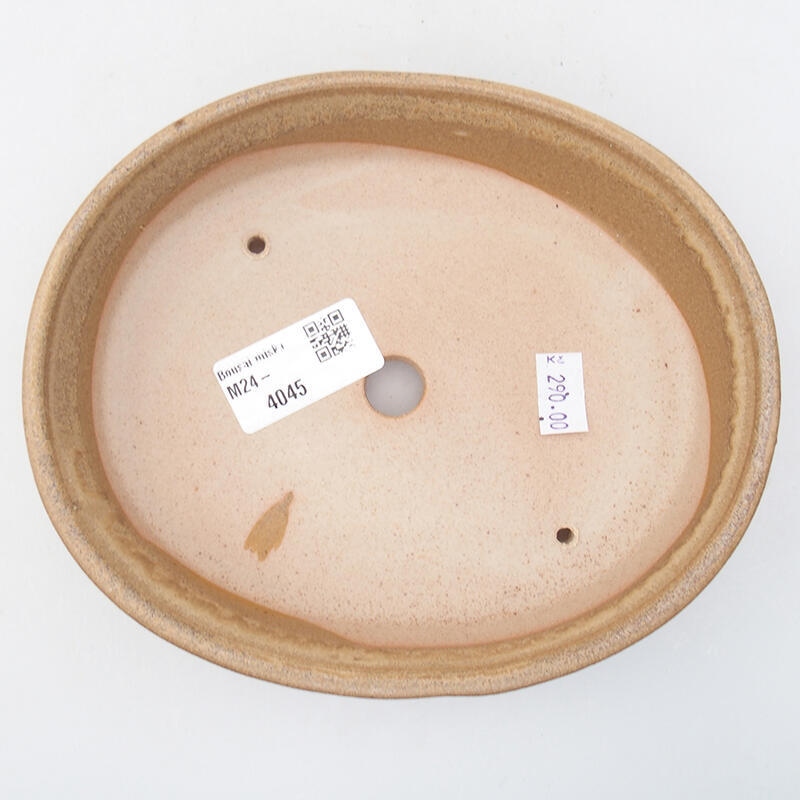 Bol à bonsaï en céramique 17,5 x 14 x 4 cm, couleur beige