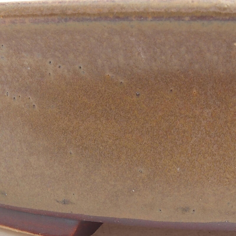 Bol à bonsaï en céramique 17,5 x 16 x 4,5 cm, brun