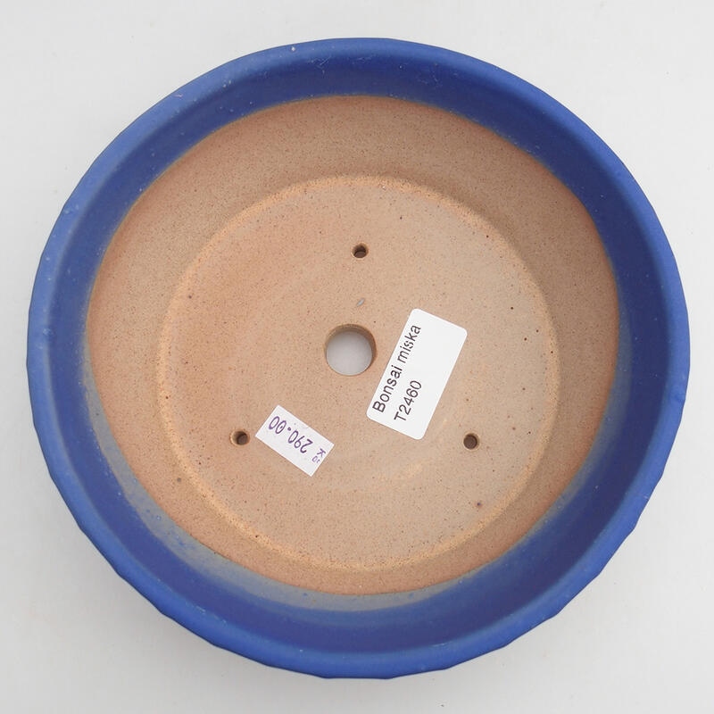Bol à bonsaï en céramique 17,5 x 17,5 x 5 cm, couleur bleu