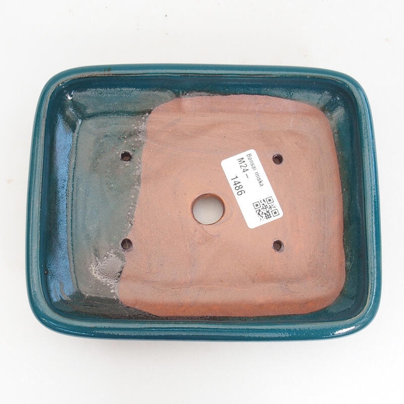 Bol à bonsaï en céramique 17 x 13,5 x 3,5 cm, vert