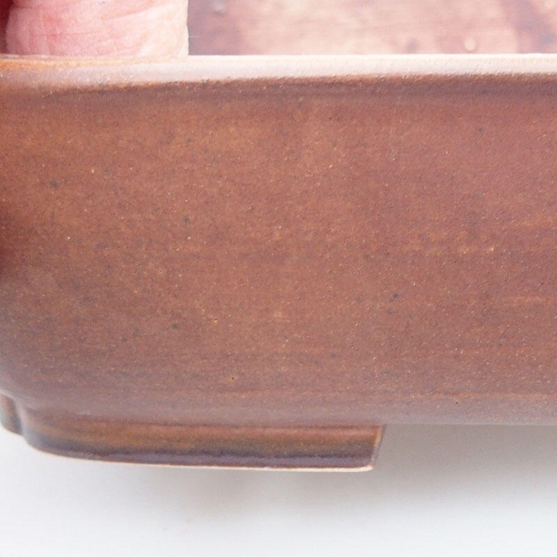 Bol à bonsaï en céramique 17 x 13 x 4,5 cm, brun