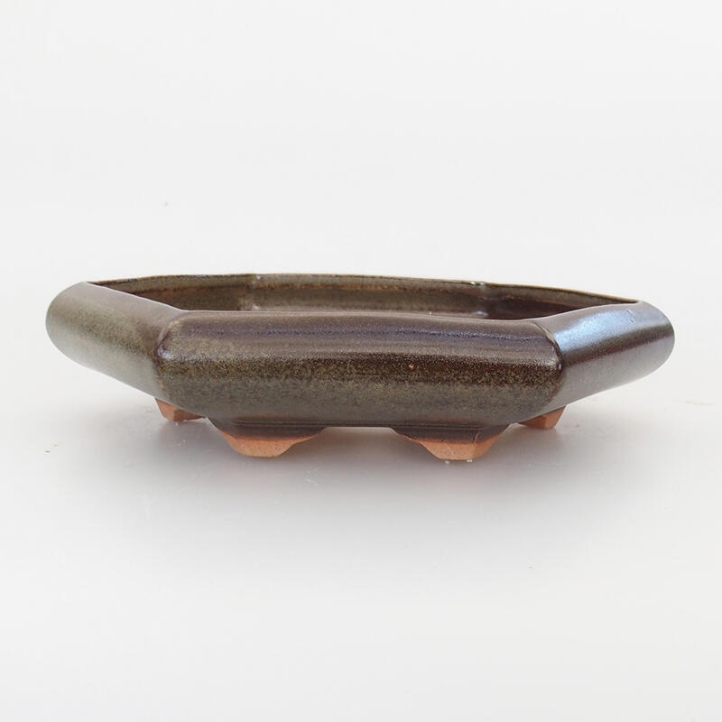 Bol à bonsaï en céramique 17 x 14 x 3,5 cm, brun