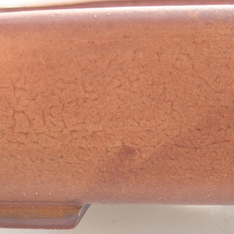 Bol à bonsaï en céramique 17 x 14 x 4,5 cm, brun