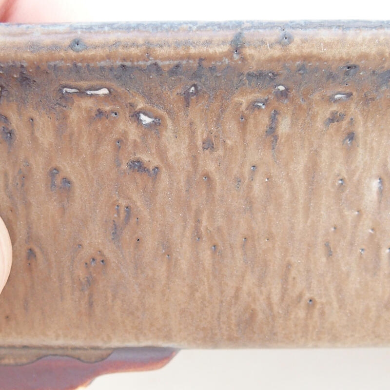 Bol à bonsaï en céramique 17 x 14 x 5,5 cm, brun