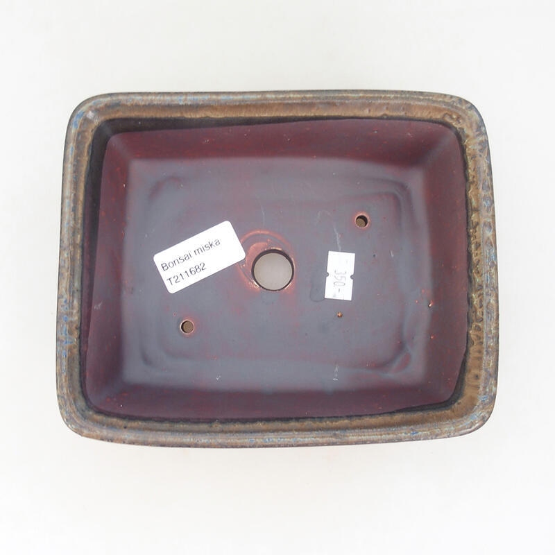 Bol à bonsaï en céramique 17 x 14 x 5,5 cm, brun