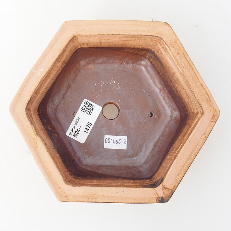 Bol à bonsaï en céramique 17 x 15 x 6 cm, rose