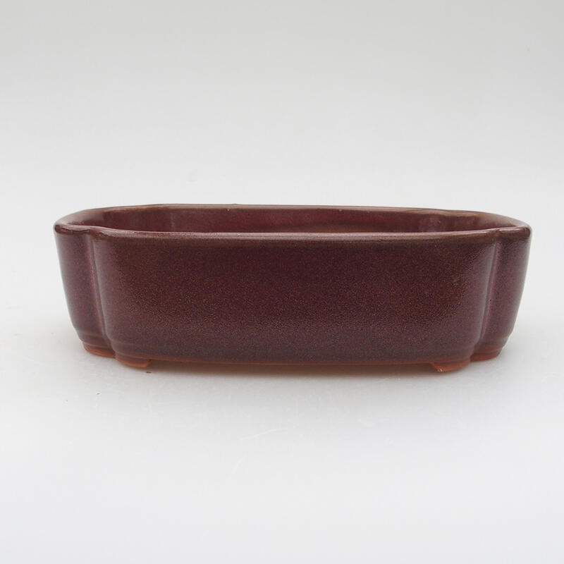 Bol à bonsaï en céramique 18,5 x 13,5 x 5 cm, brun