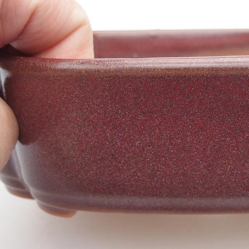 Bol à bonsaï en céramique 18,5 x 13,5 x 5 cm, brun