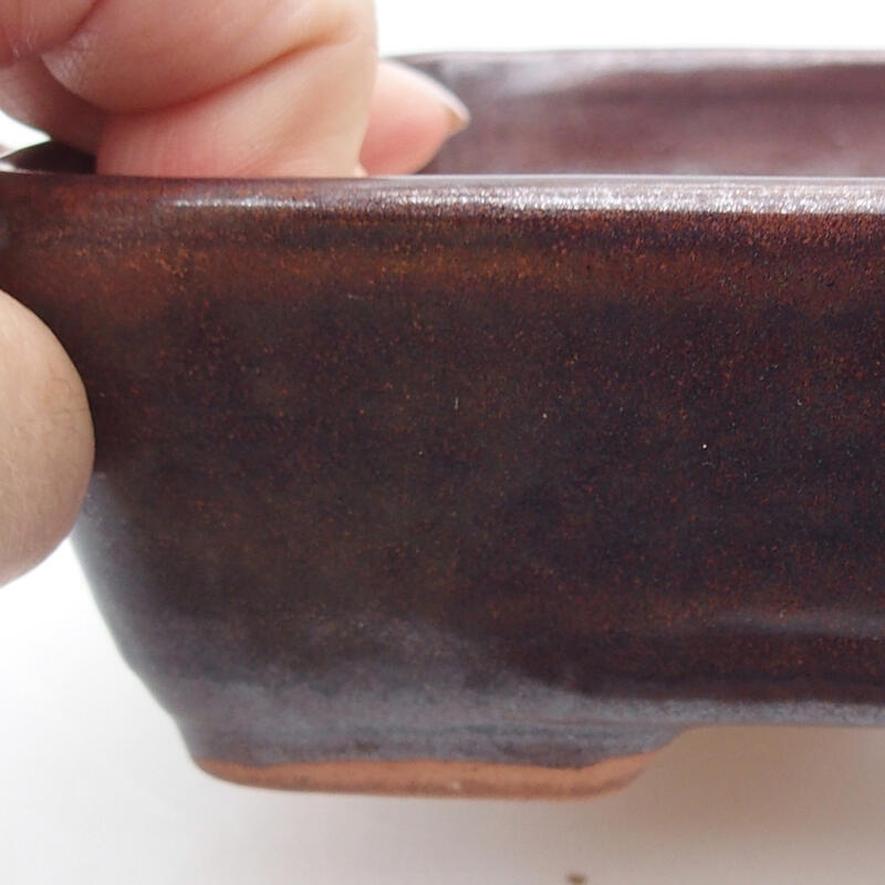 Bol à bonsaï en céramique 18 x 13 x 4,5 cm, brun