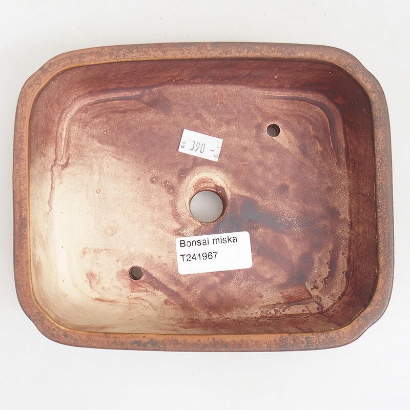 Bol à bonsaï en céramique 18 x 14,5 x 4,5 cm, brun