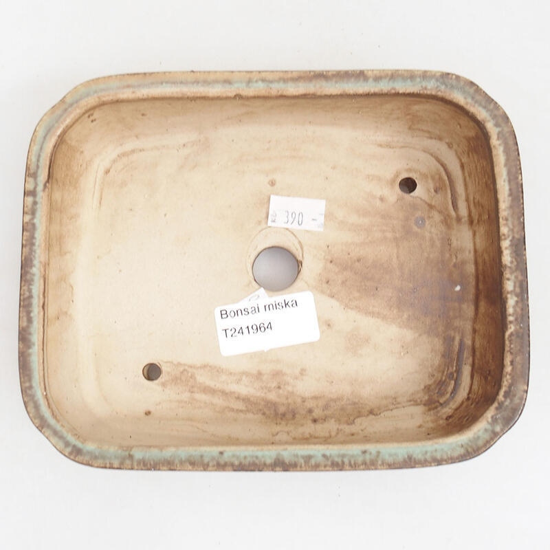 Bol à bonsaï en céramique 18 x 14,5 x 4,5 cm, vert