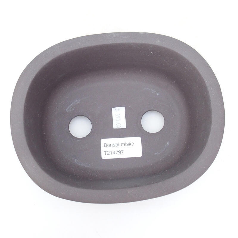 Bol à bonsaï en céramique 18 x 14,5 x 7 cm, couleur noire