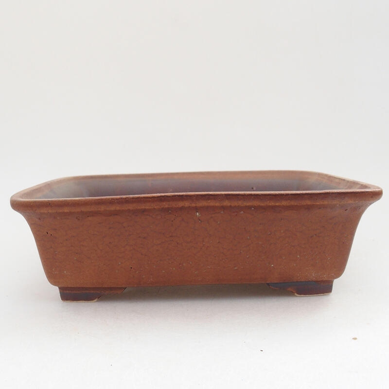 Bol à bonsaï en céramique 18 x 14 x 5,5 cm, brun