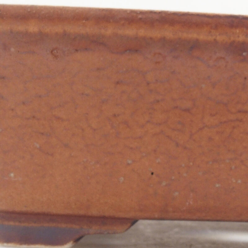 Bol à bonsaï en céramique 18 x 14 x 5,5 cm, brun