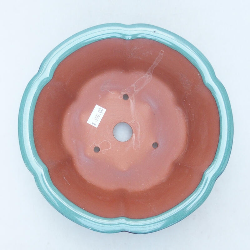 Bol à bonsaï en céramique 20 x 20 x 6,5 cm, vert