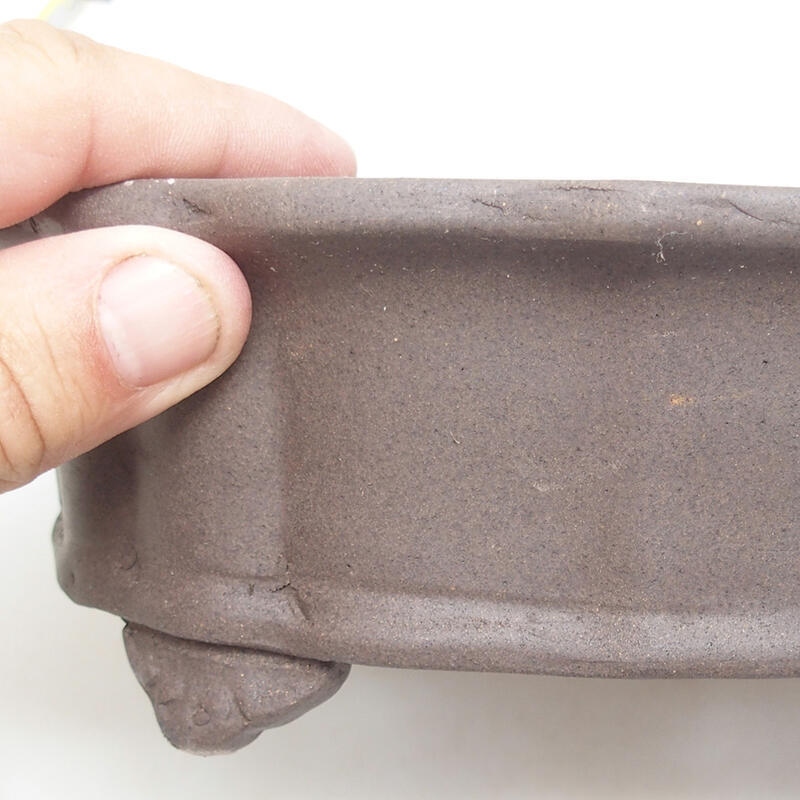 Bol à bonsaï en céramique 21 x 16 x 7 cm, brun