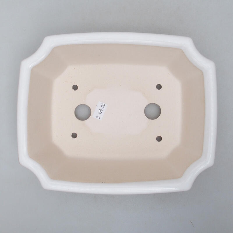 Bol à bonsaï en céramique 22 x 18 x 7 cm, blanc