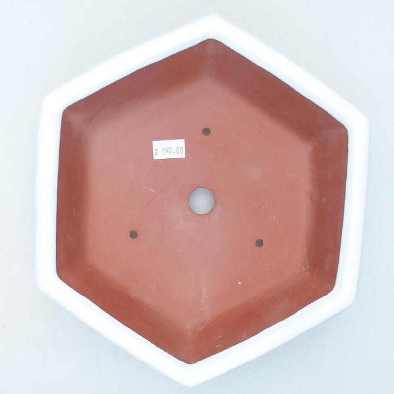 Bol à bonsaï en céramique 23 x 21 x 6 cm, blanc