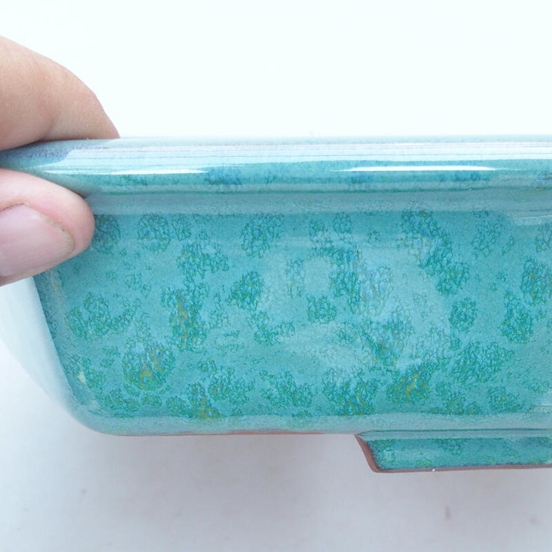 Bol à bonsaï en céramique 23 x 21 x 6 cm, vert