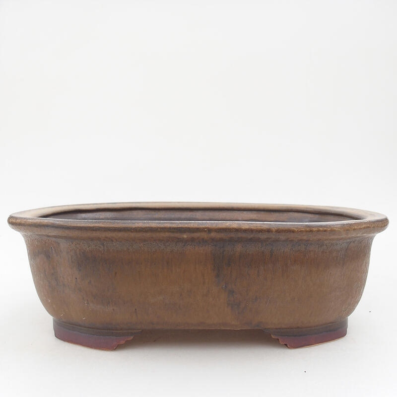 Bol à bonsaï en céramique 25,5 x 22 x 7,5 cm, brun