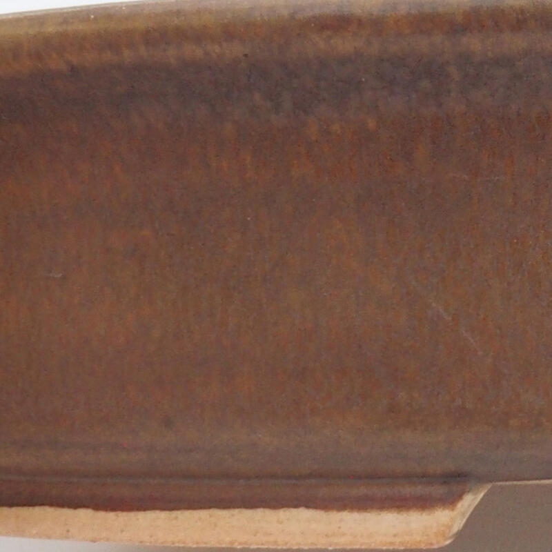 Bol à bonsaï en céramique 26 x 23,5 x 5,5 cm, brun