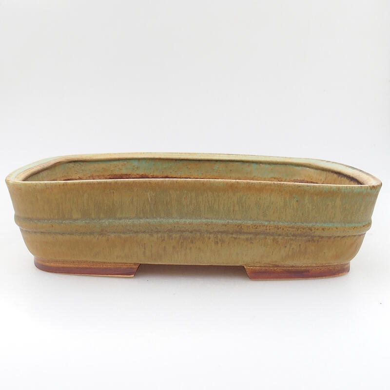 Bol à bonsaï en céramique 29 x 23,5 x 7 cm, vert