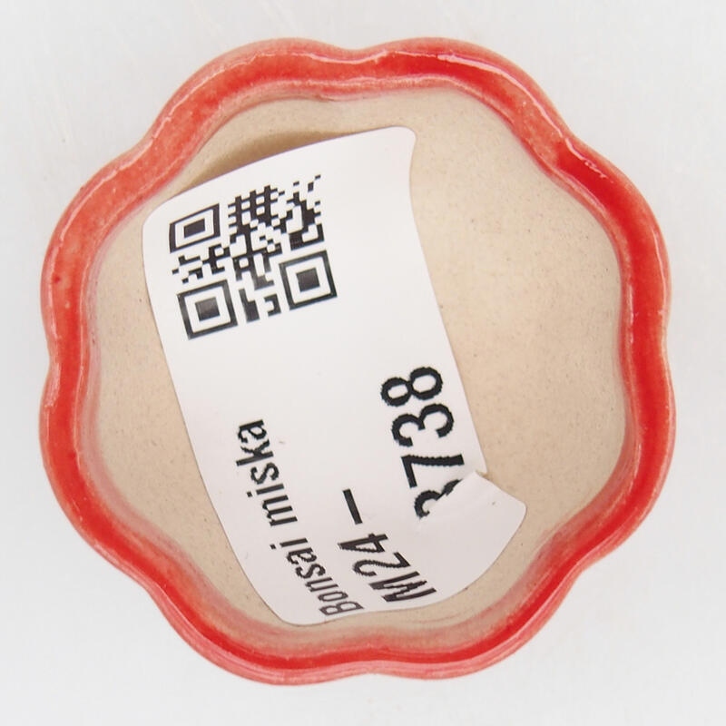 Bol à bonsaï en céramique 3,5 x 3,5 x 2 cm, couleur rouge