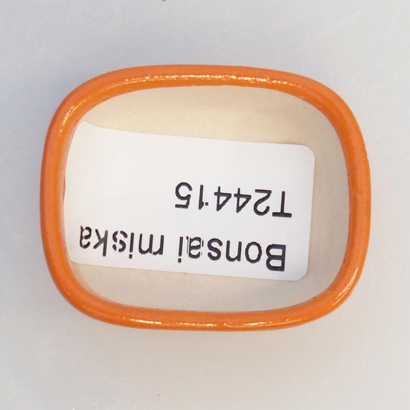 Bol à bonsaï en céramique 4 x 3,5 x 1,5 cm, orange