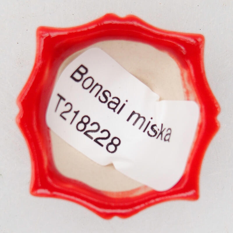 Bol à bonsaï en céramique 4 x 3,5 x 2 cm, couleur rouge