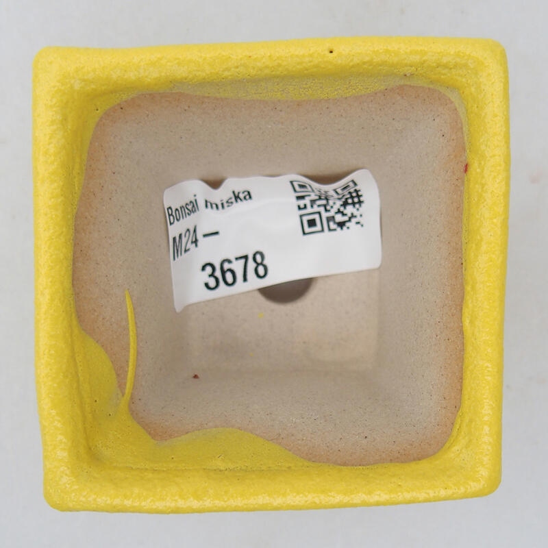 Bol à bonsaï en céramique 5,5 x 5,5 x 3,5 cm, jaune