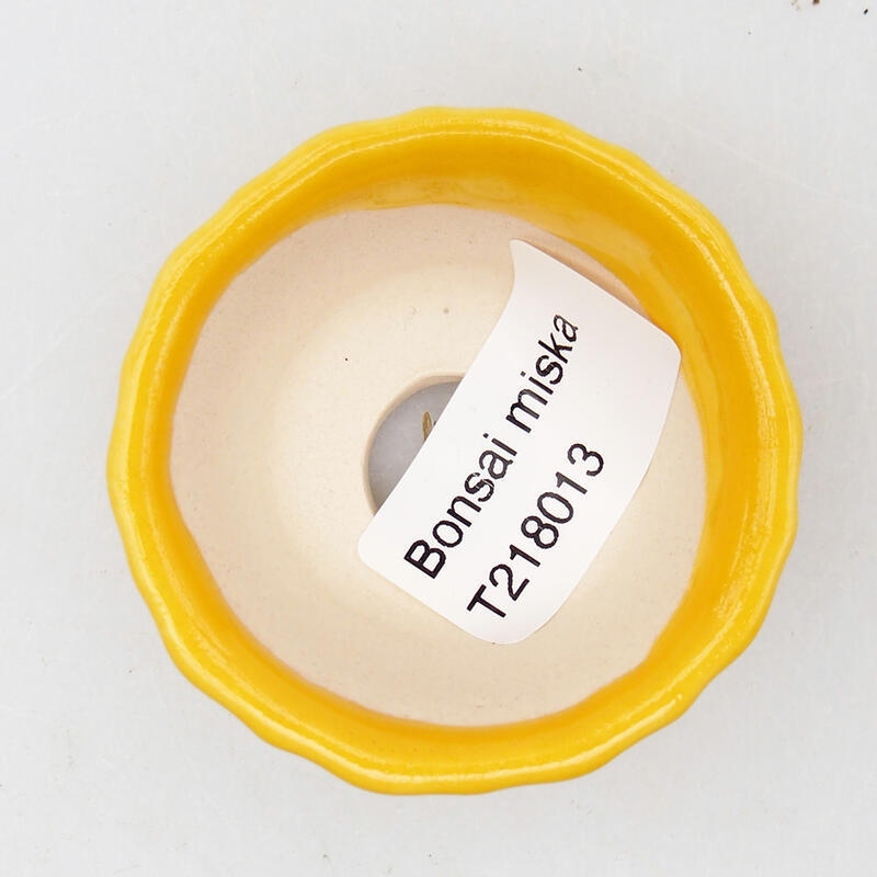 Bol à bonsaï en céramique 5,5 x 5,5 x 3 cm, jaune