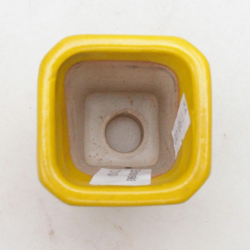 Bol à bonsaï en céramique 5,5 x 5,5 x 7 cm, jaune