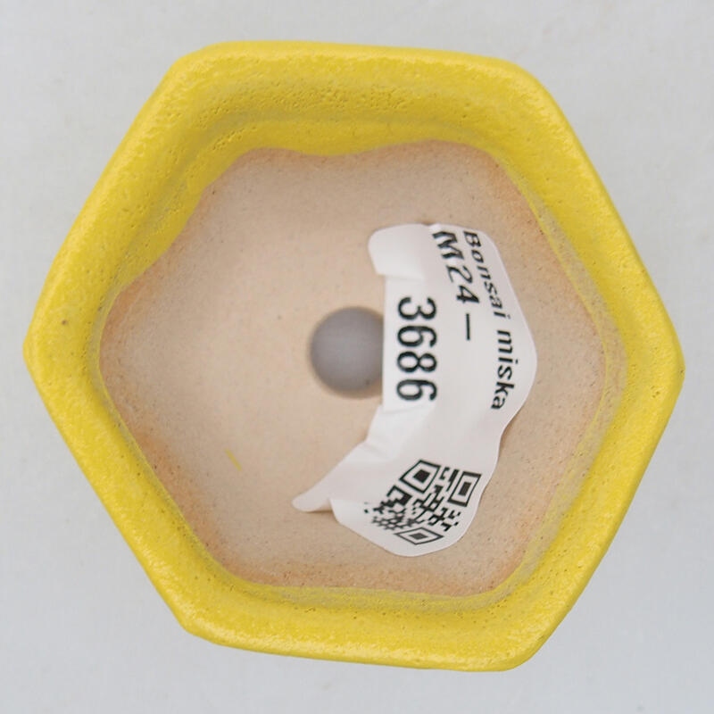 Bol à bonsaï en céramique 5,5 x 5 x 3 cm, jaune