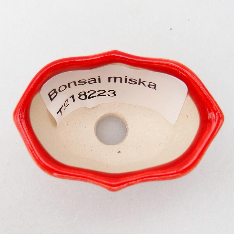 Bol à bonsaï en céramique 5 x 3 x 2,5 cm, couleur rouge