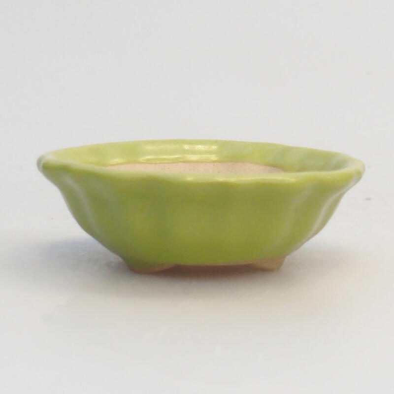 Bol à bonsaï en céramique 5 x 5 x 2 cm, vert