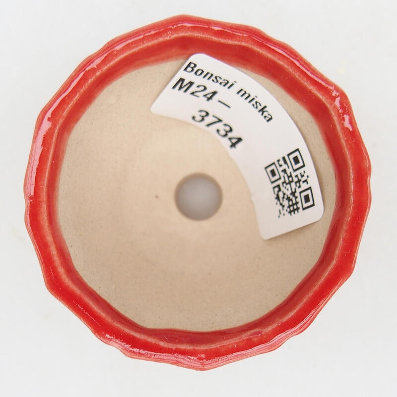 Bol à bonsaï en céramique 5 x 5 x 3,5 cm, couleur rouge
