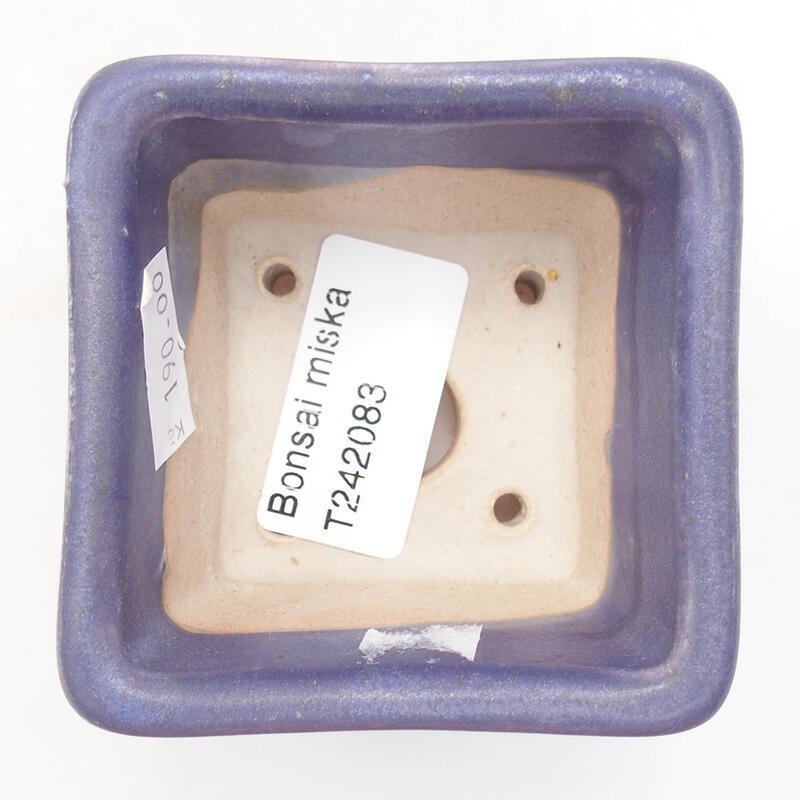 Bol à bonsaï en céramique 6,5 x 6,5 x 5 cm, couleur violet