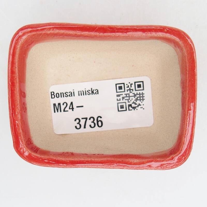 Bol à bonsaï en céramique 6 x 4 x 3 cm, couleur rouge