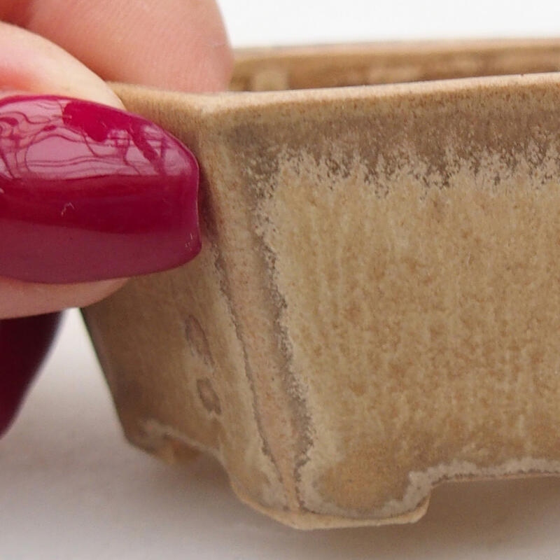 Bol à bonsaï en céramique 6 x 5,5 x 2,5 cm, couleur beige