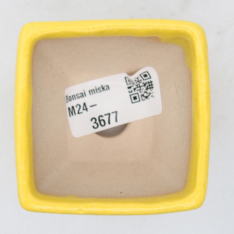 Bol à bonsaï en céramique 6 x 6 x 4,5 cm, jaune