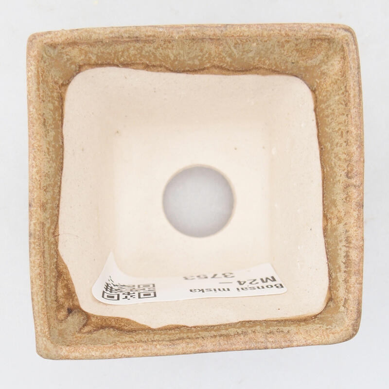 Bol à bonsaï en céramique 6 x 6 x 4 cm, couleur beige
