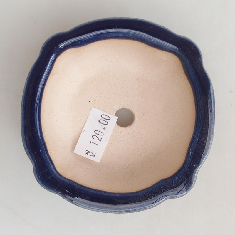 Bol à bonsaï en céramique 7,5 x 7,5 x 3 cm, couleur bleu