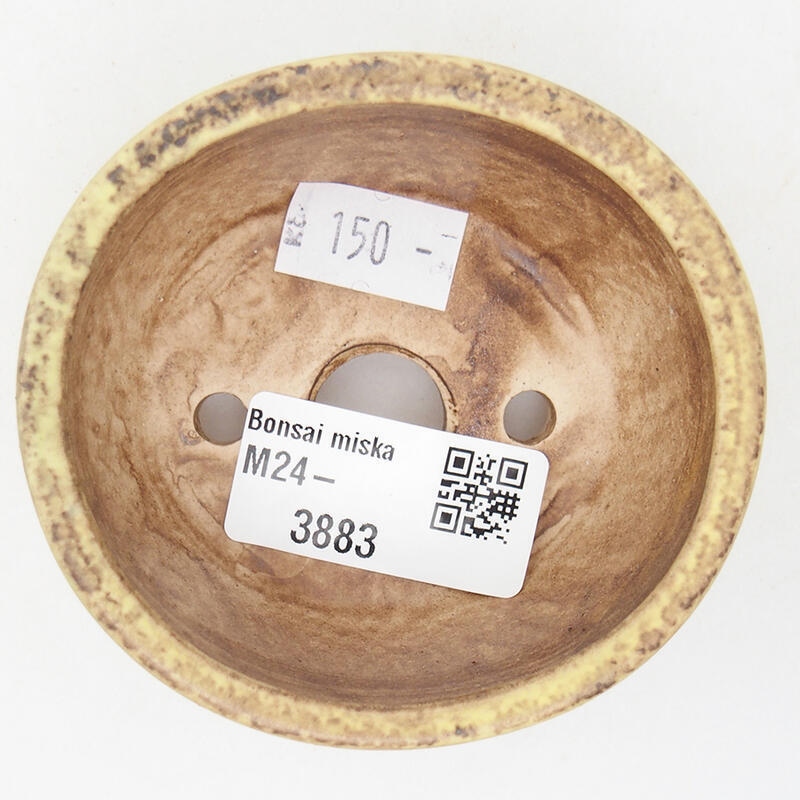 Bol à bonsaï en céramique 7,5 x 7 x 4 cm, vert