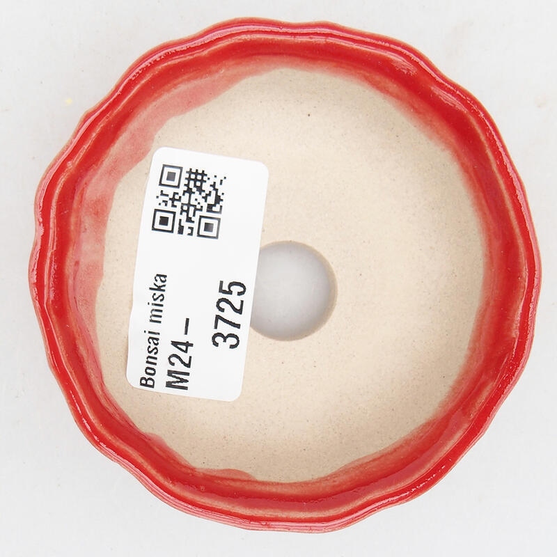 Bol à bonsaï en céramique 7 x 7 x 2,5 cm, couleur rouge