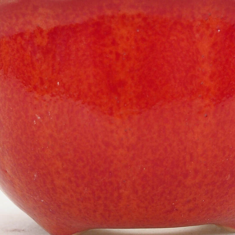 Bol à bonsaï en céramique 7 x 7 x 3,5 cm, couleur rouge