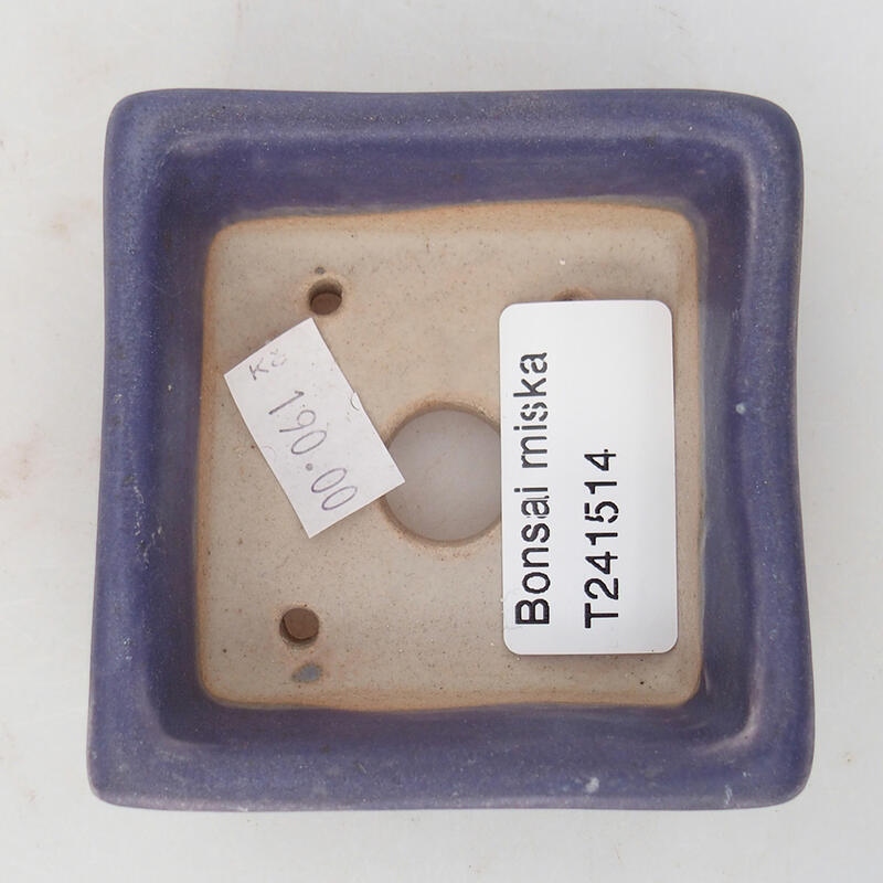 Bol à bonsaï en céramique 7 x 7 x 3 cm, couleur violet
