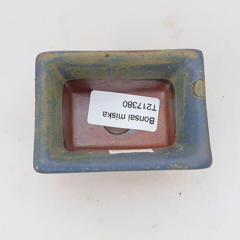 Bol à bonsaï en céramique 8,5 x 6 x 4 cm, couleur bleu