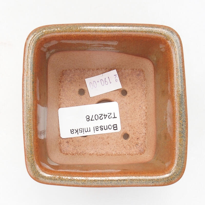 Bol à bonsaï en céramique 8,5 x 8,5 x 5,5 cm, brun