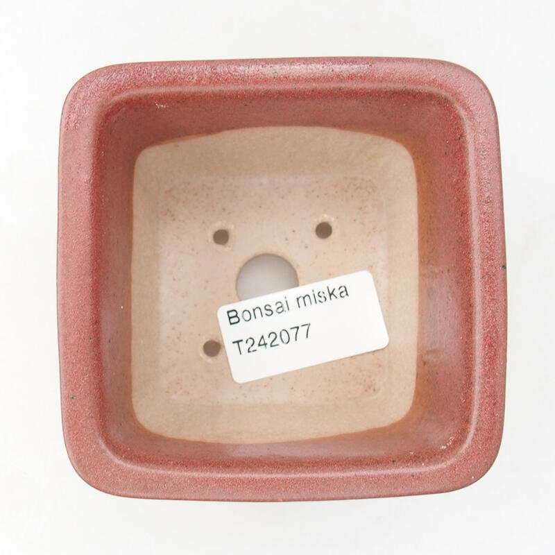 Bol bonsaï en céramique 8,5 x 8,5 x 5,5 cm, bordeaux