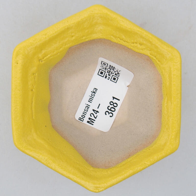 Bol à bonsaï en céramique 8 x 7,5 x 3 cm, jaune